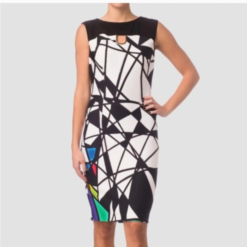 NWT Josep Ribkoff Black and White Abstract Midi Dress
Size 4